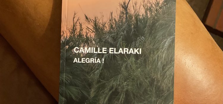 [Chronique] Alegría de Camille Elaraki