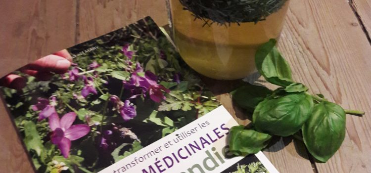 [Chronique] Cueillir, transformer et utiliser les plantes médicinales de Normandie